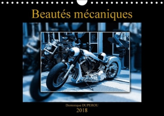 BEAUTES MECANIQUES CALENDRIER MURAL 2018 DIN A4 HORIZONTAL - QUELQUES BELLES PHOTOS DE BELL