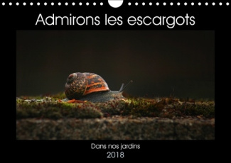 ADMIRONS LES ESCARGOTS CALENDRIER MURAL 2018 DIN A4 HORIZONT - DANS NOS JARDINS CALENDRIER ME