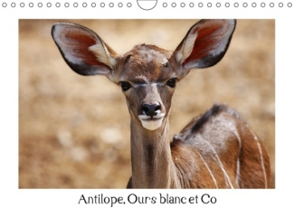 ANTILOPE OURS BLANC ET CO CALENDRIER MURAL 2018 DIN A4 HORIZ - ANIMAUX A L ETAT SAUVAGE CALEN