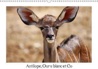 ANTILOPE OURS BLANC ET CO CALENDRIER MURAL 2018 DIN A3 HORIZ - ANIMAUX A L ETAT SAUVAGE CALEN