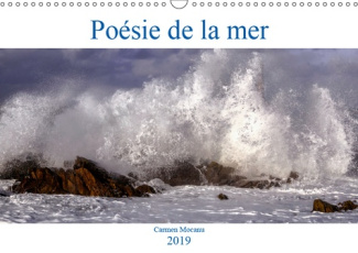 POESIE DE LA MER (CALENDRIER MURAL 2019 DIN A3 HORIZONTAL) - ADMIRONS LA MER, CE POEME GRANDEUR NATU