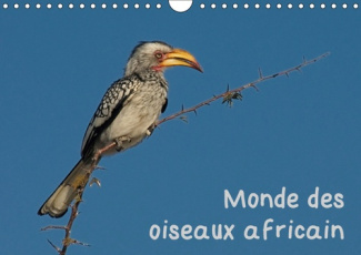 MONDE DES OISEAUX AFRICAIN (CALENDRIER MURAL 2019 DIN A4 HORIZONTAL) - DES PORTRAITS D'OISEAU FASCIN