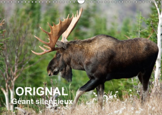 ORIGNAL. GEANT SILENCIEUX (CALENDRIER MURAL 2019 DIN A3 HORIZONTAL) - L'ORIGNAL DU CANADA AU FIL DES