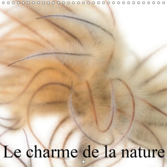 LE CHARME DE LA NATURE (CALENDRIER MURAL 2019 300 * 300 MM SQUARE) - LES PLUS BELLES IMPRESSIONS DE