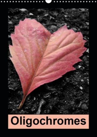 OLIGOCHROMES (CALENDRIER MURAL 2019 DIN A3 VERTICAL) - QUAND LE NOIR ET BLANC RENCONTRE LA COULEUR.