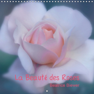 LA BEAUTE DES ROSES (CALENDRIER MURAL 2019 300 * 300 MM SQUARE) - LA REINE DES FLEURS DANS TOUTE SA
