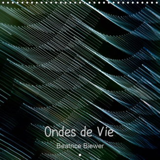 ONDES DE VIE (CALENDRIER MURAL 2019 300 * 300 MM SQUARE) - VIBRATIONS OU ONDES DE VIE, UN JEU SUBTIL