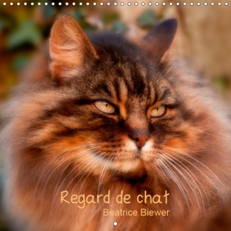 REGARD DE CHAT (CALENDRIER MURAL 2019 300 * 300 MM SQUARE) - TOUTE L'INTENSITE DU REGARD D'UN CHAT (