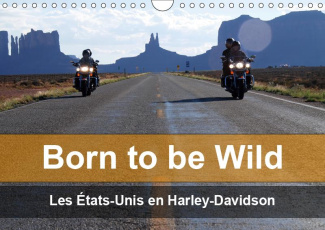 BORN TO BE WILD - LES ETATS-UNIS EN HARLEY-DAVIDSON (CALENDRIER MURAL 2019 DIN A4 HORIZONTAL) - LES