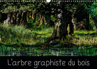 L'ARBRE GRAPHISTE DU BOIS (CALENDRIER MURAL 2019 DIN A3 HORIZONTAL) - L'ARBRE EST LE GRAPHISTE DE LA