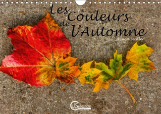 LES COULEURS DE L'AUTOMNE (CALENDRIER MURAL 2019 DIN A4 HORIZONTAL) - DAME NATURE NOUS OFFRE UNE DIV