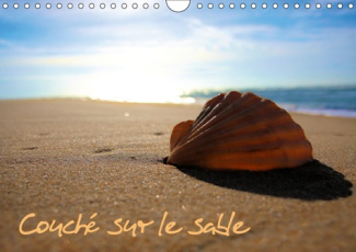 COUCHE SUR LE SABLE (CALENDRIER MURAL 2019 DIN A4 HORIZONTAL) - DECOUVERTE DES TRESORS DE BORD DE ME