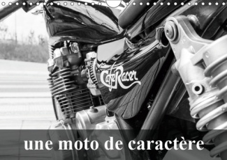 UNE MOTO DE CARACTERE (CALENDRIER MURAL 2019 DIN A4 HORIZONTAL) - TRANSFORMATION D'UNE KAWASAKI 750