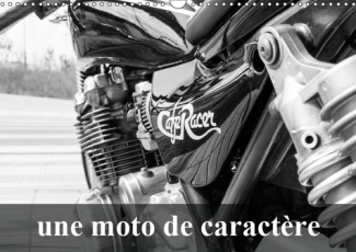 UNE MOTO DE CARACTERE (CALENDRIER MURAL 2019 DIN A3 HORIZONTAL) - TRANSFORMATION D'UNE KAWASAKI 750