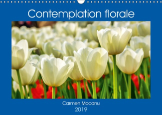 CONTEMPLATION FLORALE (CALENDRIER MURAL 2019 DIN A3 HORIZONTAL) - LA CONTEMPLATION D'UNE FLEUR EST U