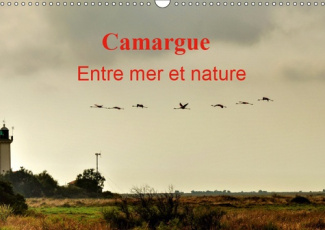 CAMARGUE ENTRE MER ET NATURE (CALENDRIER MURAL 2019 DIN A3 HORIZONTAL) - AU COEUR DE LA CAMARGUE, EN