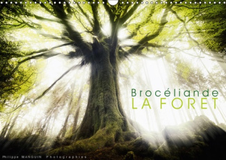 BROCELIANDE, LA FORET (CALENDRIER MURAL 2019 DIN A3 HORIZONTAL) - PHOTOGRAPHIES DE LA FORET DE BROCE