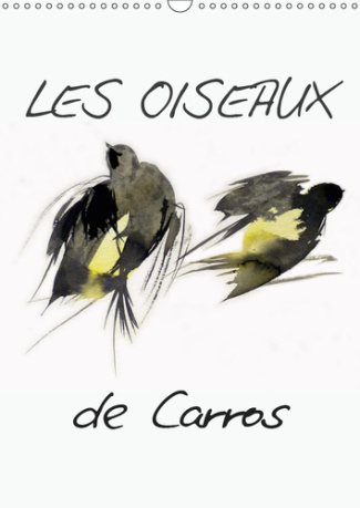 LES OISEAUX DE CARROS (CALENDRIER MURAL 2019 DIN A3 VERTICAL) - OISEAUX, AQUARELLES (CALENDRIER MENS