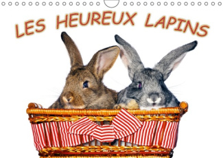 LES HEUREUX LAPINS (CALENDRIER MURAL 2019 DIN A4 HORIZONTAL) - DES LAPINS DEVANT L'APPAREIL PHOTO. N