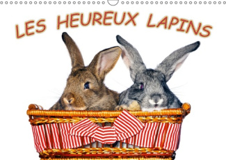 LES HEUREUX LAPINS (CALENDRIER MURAL 2019 DIN A3 HORIZONTAL) - DES LAPINS DEVANT L'APPAREIL PHOTO. N