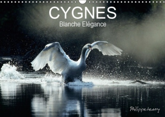 CYGNES. BLANCHE ELEGANCE (CALENDRIER MURAL 2019 DIN A3 HORIZONTAL) - LES PLUS BELLES PHOTOS DE CYGNE
