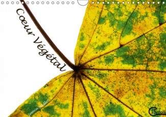 COEUR VEGETAL (CALENDRIER MURAL 2019 DIN A4 HORIZONTAL) - AU COEUR DES FEUILLES D'AUTOMNE (CALENDRIE