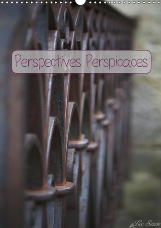 PERSPECTIVES PERSPICACES (CALENDRIER MURAL 2019 DIN A3 VERTICAL) - QUAND L'IMAGE ATTIRE MALGRE NOUS