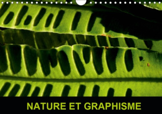 NATURE ET GRAPHISME (CALENDRIER MURAL 2019 DIN A4 HORIZONTAL) - AU COURS DE PROMENADES DANS LA NATUR
