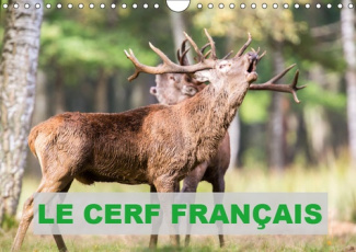 LE CERF FRANCAIS (CALENDRIER MURAL 2019 DIN A4 HORIZONTAL) - PHOTOS DE CERFS EN FRANCE (CALENDRIER M