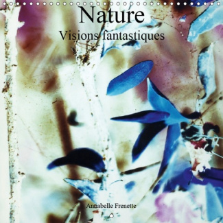 NATURE VISIONS FANTASTIQUES (CALENDRIER MURAL 2019 300 * 300 MM SQUARE) - UN REGARD FANTASTIQUE SUR