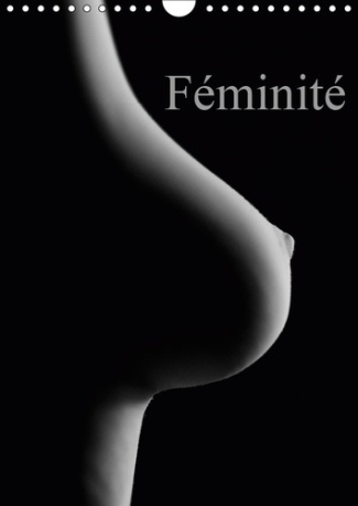 FEMINITE (CALENDRIER MURAL 2019 DIN A4 VERTICAL) - PRISES EROTIQUES DU CORPS FEMININ. (CALENDRIER ME