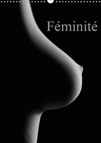 FEMINITE (CALENDRIER MURAL 2019 DIN A3 VERTICAL) - PRISES EROTIQUES DU CORPS FEMININ. (CALENDRIER ME