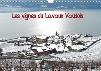 LES VIGNES DU LAVAUX VAUDOIS (CALENDRIER MURAL 2019 DIN A4 HORIZONTAL) - VIGNES EN TERRASSES SOUS LA