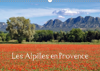 LES ALPILLES EN PROVENCE (CALENDRIER MURAL 2019 DIN A3 HORIZONTAL) - REGARD SUR LES PAYSAGES DU PARC