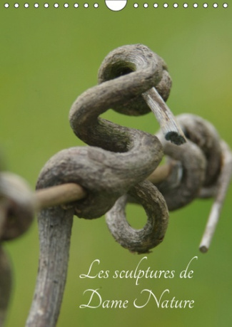 LES SCULPTURES DE DAME NATURE (CALENDRIER MURAL 2019 DIN A4 VERTICAL) - TOUTES LES BEAUTEE DE LA NAT