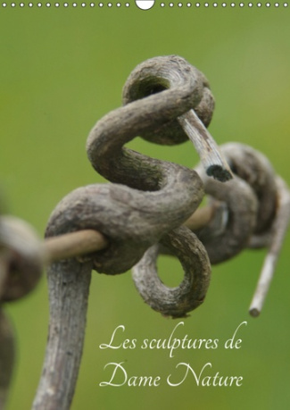 LES SCULPTURES DE DAME NATURE (CALENDRIER MURAL 2019 DIN A3 VERTICAL) - TOUTES LES BEAUTEE DE LA NAT