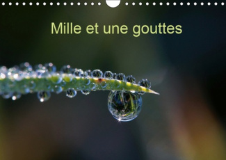 MILLE ET UNE GOUTTES (CALENDRIER MURAL 2019 DIN A4 HORIZONTAL) - PHOTOS DE GOUTTES D'EAU (CALENDRIER