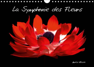 LA SYMPHONIE DES FLEURS (CALENDRIER MURAL 2019 DIN A4 HORIZONTAL) - LA BEAUTE AU NATUREL (CALENDRIER