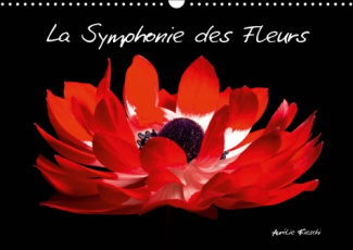 LA SYMPHONIE DES FLEURS (CALENDRIER MURAL 2019 DIN A3 HORIZONTAL) - LA BEAUTE AU NATUREL (CALENDRIER