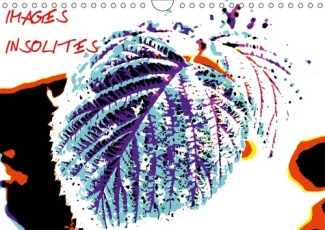 IMAGES INSOLITES (CALENDRIER MURAL 2019 DIN A4 HORIZONTAL) - VOYAGE DANS UNE NATURE AUX COULEURS IMA