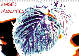 IMAGES INSOLITES (CALENDRIER MURAL 2019 DIN A3 HORIZONTAL) - VOYAGE DANS UNE NATURE AUX COULEURS IMA