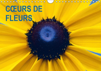 COEURS DE FLEURS (CALENDRIER MURAL 2019 DIN A4 HORIZONTAL) - PLAISIR D'UNE ANNEE FLEURIE (CALENDRIER
