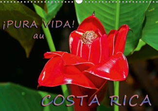 PURA VIDA!  AU COSTA RICA (CALENDRIER MURAL 2019 DIN A3 HORIZONTAL) - COSTA RICA - UN PAYS MERVEILL