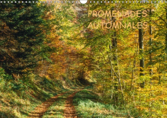 PROMENADES AUTOMNALES (CALENDRIER MURAL 2019 DIN A3 HORIZONTAL) - UNE SAISON A NULLE AUTRE PAREILLE,