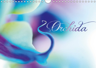 L'ORCHIDA (CALENDRIER MURAL 2019 DIN A4 HORIZONTAL) - LA BEAUTE DES ORCHIDEES (CALENDRIER MENSUEL, 1