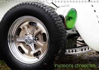 INVASION D'INSECTES (CALENDRIER MURAL 2019 DIN A4 HORIZONTAL) - UN CALENDRIER POUR LES PASSIONNES DE