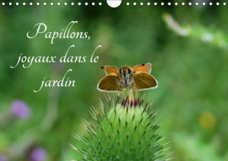 PAPILLONS, JOYAUX DANS LE JARDIN (CALENDRIER MURAL 2019 DIN A4 HORIZONTAL) - DES PAPILLONS DANS LES