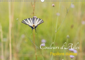 COULEURS D'AILES (CALENDRIER MURAL 2019 DIN A3 HORIZONTAL) - PAPILLONS DIURNES (CALENDRIER MENSUEL,