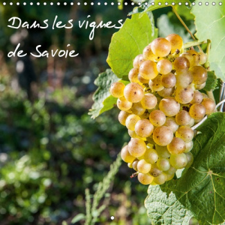 DANS LES VIGNES DE SAVOIE (CALENDRIER MURAL 2019 300 * 300 MM SQUARE) - LES VIGNES AU PAYS DE SAVOIE