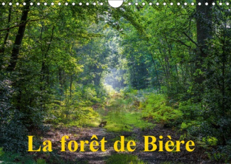 LA FORET DE BIERE (CALENDRIER MURAL 2019 DIN A4 HORIZONTAL) - PAYSAGES DE LA FORET DE FONTAINEBLEAU